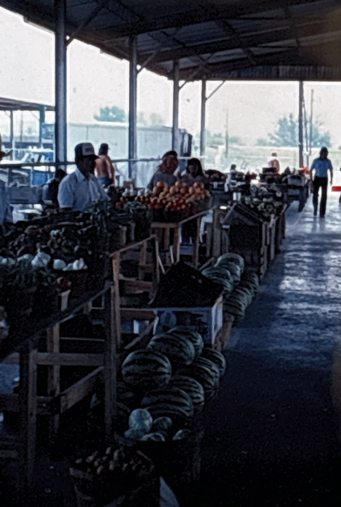 Farmers Produce Market Yello Belly History